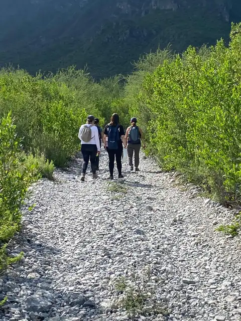 Caminantes por el sendero entre árboles